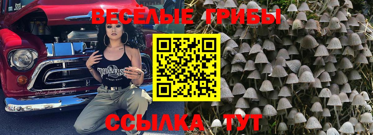 Галлюциногенные грибы Cubensis  где найти   Майский  Вход с VPN 